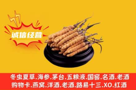 三沙南沙区回收冬虫夏草